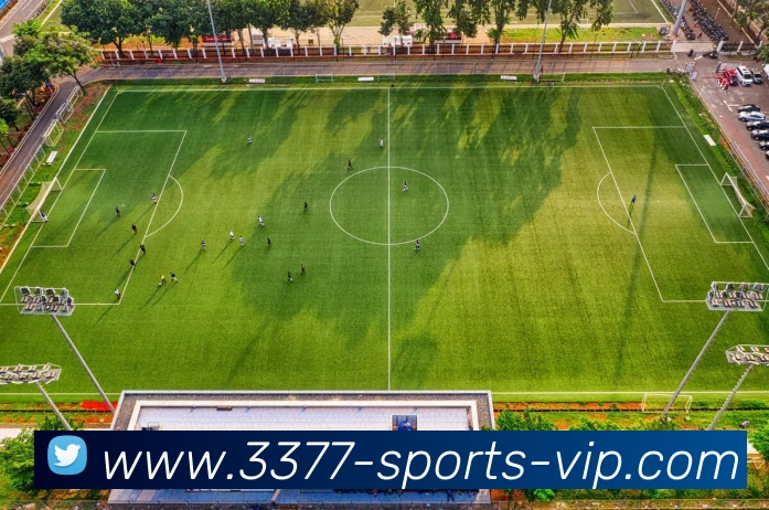 3377体育发展历程